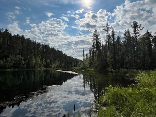 Luontoviisauden polku voimapiiri