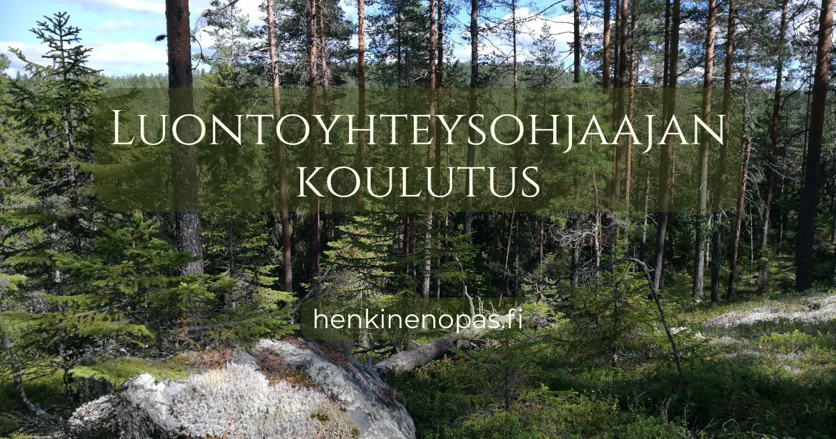 Luontoyhteysohjaajan koulutus osallistuja metsässä läsnäoloharjoituksessa