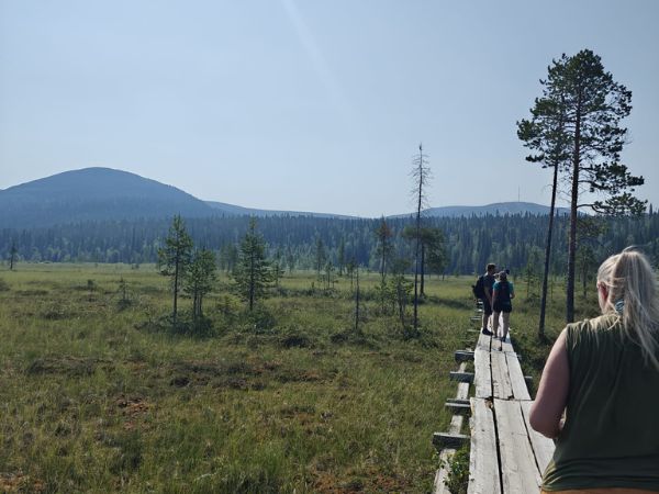 Shamanistinen luontoretriitti lapissa - matkalla tunturiin